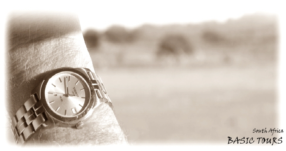 NetObjects Fusion Essentials