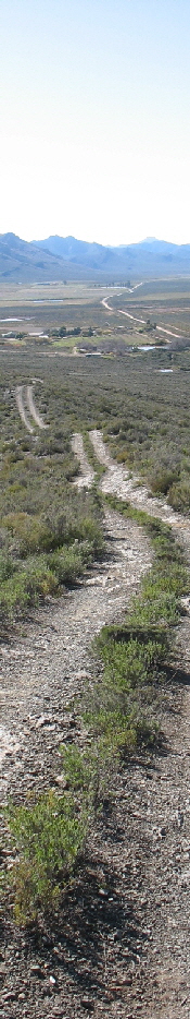 NetObjects Fusion Essentials